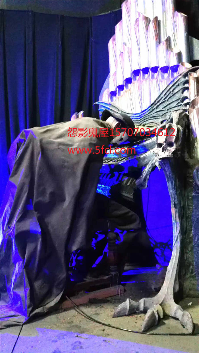 ʵ